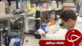 پیشنهاد سر میز شام یک دختر 8 ساله آینده درمان سرطان را متحول خواهد کرد