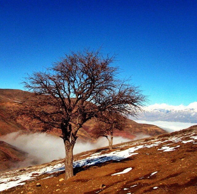 تصاویری زیبا از گوشه و کنار کشور عزیزمان (۲۵) + عکس