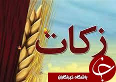 افزایش 31 درصدی زکات در تاکستان
