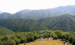 جنگل فندقلو گردشگاه جنگلی بی نظیر در کشور