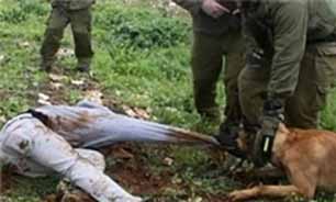 شکنجه کودک فلسطینی با سگ‌های شکاری + فیلم