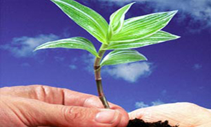اهدای فیش&zwnj;حج&zwnj;نیکوکار ارومیه&zwnj;ای برای آزادی 3 زندانی&zwnj;غیرعمد