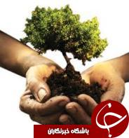 درختکاری در مسجد سلیمان