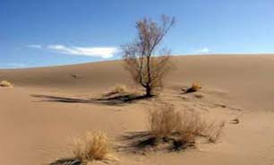 فعاليت دو کانون بحران فرسايش بادي در رشتخوار تهدیدی برای مراتع منطقه