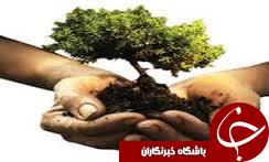 توزیع يک ميليون و 500 هزار اصله نهال در هفته منابع طبیعی  درعرصه هاي جنگلي گیلان
