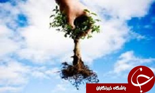 کاشت درخت در منازل خانواده های شهدا؛ کاری برای زنده نگه داشتن نام آنها