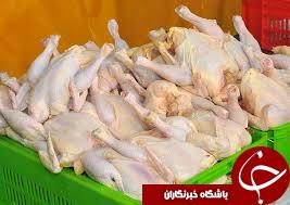 تا پایان سال مرغ 7000 تومان می‌شود