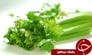 کرفس و خواص ضد سرطانی