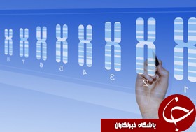 اجرای طرح مشاوره ژنتیک برای همه زوجین از سال آینده