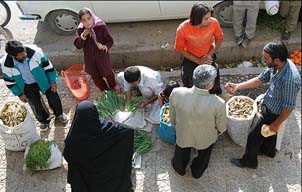 طبیعت دنا در تاراج سودگران