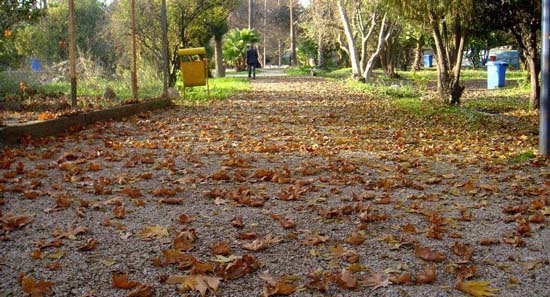 چشمه بلقیس چرام بهشتی در کهگیلویه و بویراحمد + عکس