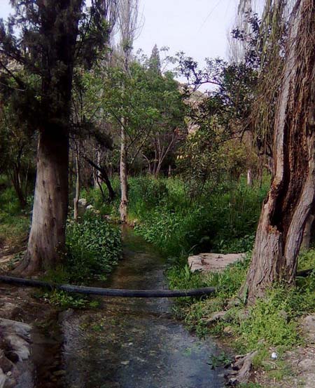 چشمه بلقیس چرام بهشتی در کهگیلویه و بویراحمد + عکس