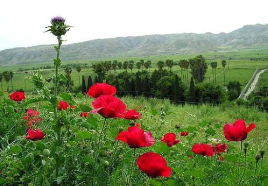 چشمه بلقیس چرام بهشتی در کهگیلویه و بویراحمد + عکس