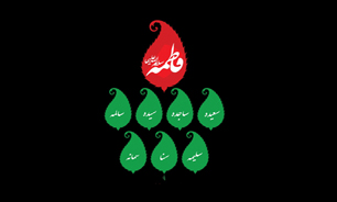 «هفت‌سین فاطمی» از منظر دوربین