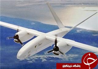 پهپاد برای شناسایی زمین‌خواران و شکارچیان