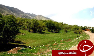 تنگه شبیخون کجاست؟