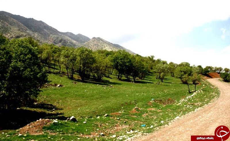 تنگه شبیخون کجاست؟