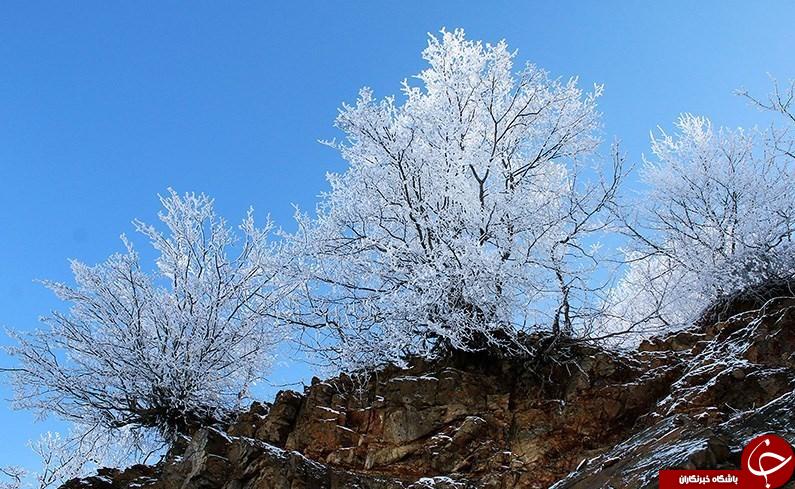 طبیعت زیبا زمستانی کلیبر، آذربایجان شرقی در قاب تصویر