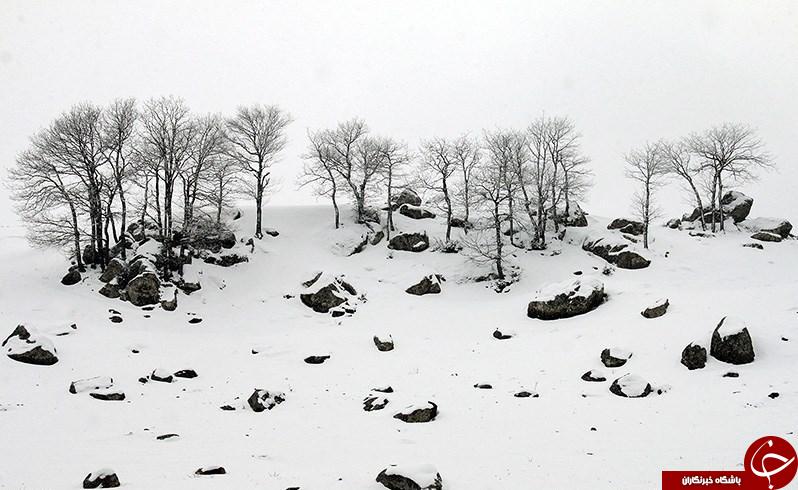 طبیعت زیبا زمستانی کلیبر، آذربایجان شرقی در قاب تصویر