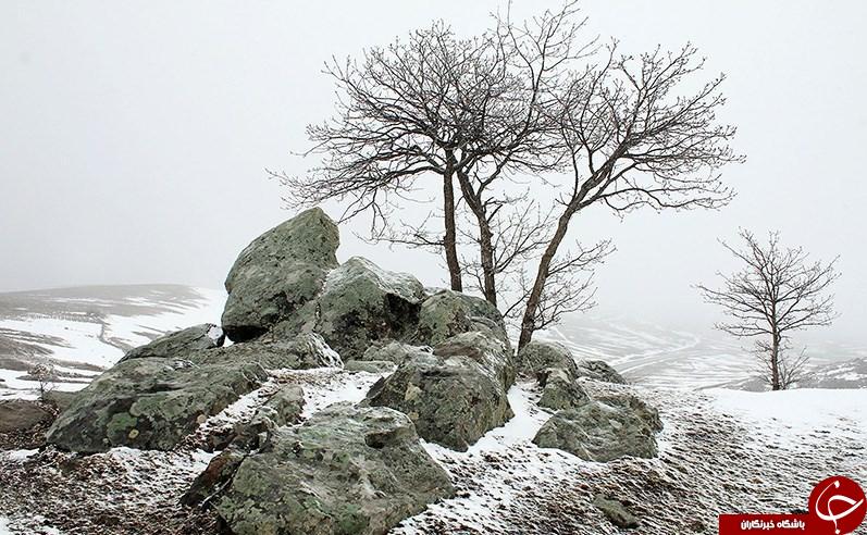 طبیعت زیبا زمستانی کلیبر، آذربایجان شرقی در قاب تصویر