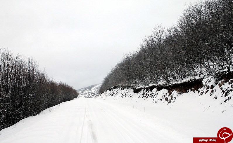 طبیعت زیبا زمستانی کلیبر، آذربایجان شرقی در قاب تصویر