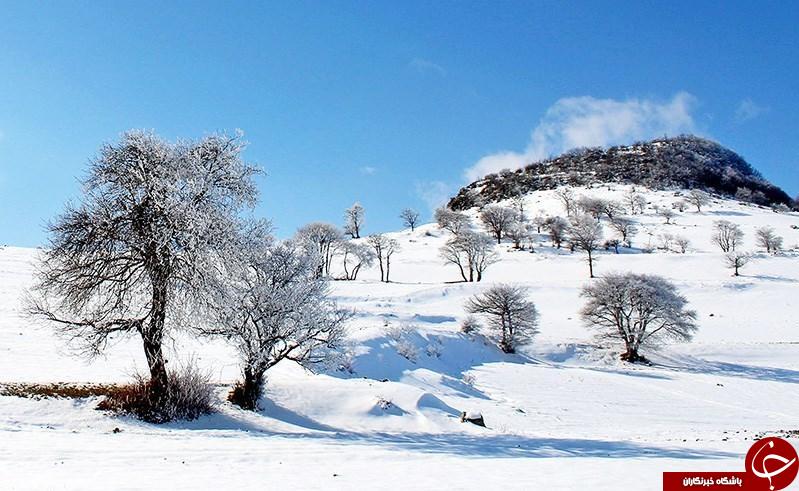 طبیعت زیبا زمستانی کلیبر، آذربایجان شرقی در قاب تصویر