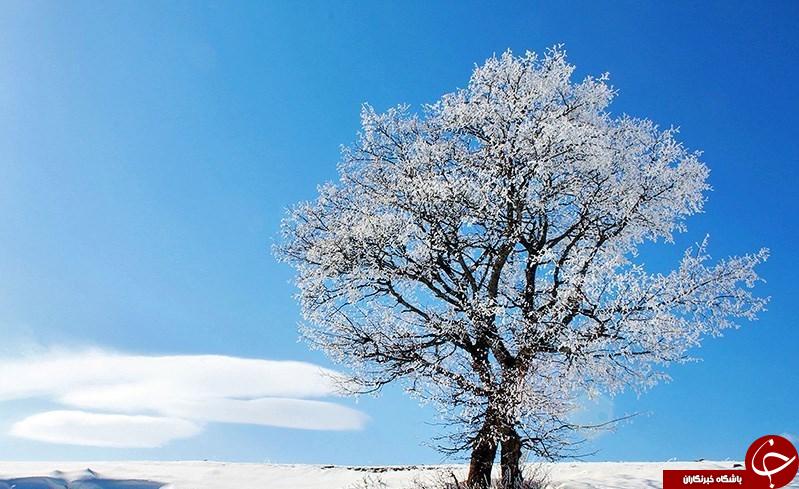 طبیعت زیبا زمستانی کلیبر، آذربایجان شرقی در قاب تصویر