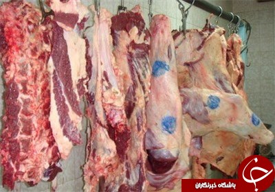 احتمال کاهش قیمت گوشت گوسفندی از اردیبهشت ۹۴