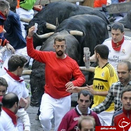 همه چیز در رابطه با عکس های &laquo;سلفی&raquo;