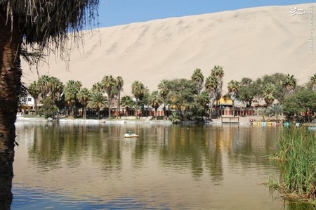 بهشتی در وسط بیابان +عکس