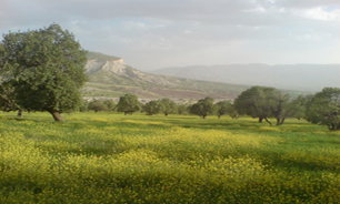 ۲۰۰ اثر تاریخی شهرستان چرداول آماده بازدید مهمانان نوروزی
