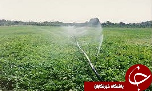 راهکارهای مقابله با بی‌آبی/ بیشتر آب‌های کشاورزی در دشت مغان به هدر می‌رود