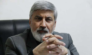 برخی هنوز در مخالفت با قانون اساسی کشور پافشاری می‌کنند