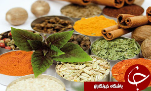 برداشت بی رویه گیاهان دارویی، باعث تخریب مراتع استان شده است