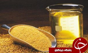 جشنواره محصولات کنجدی در دوره نوروز برگزار می&zwnj;شود
