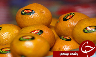 کشف 9تن نارنگي قاچاق در شاهرود