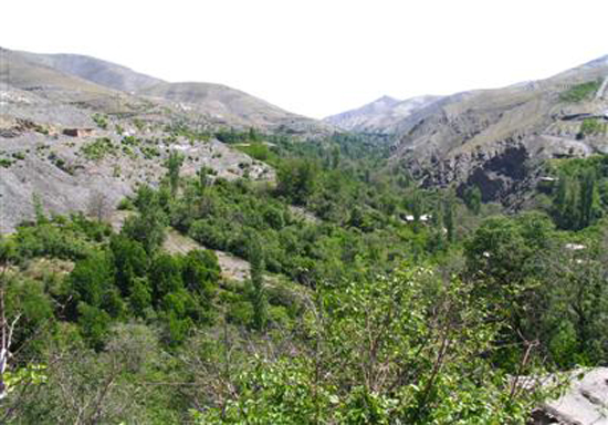 نگاهی به جاذبه هی گردشگری مشهد