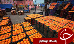 آغاز توزیع میوه شب عید در استان قزوین