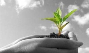 چالشهای ملی منطقه‌ای محیط زیست بررسی می‌شود