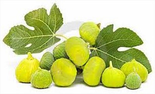 درمان طبیعی دیابت