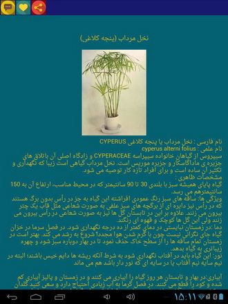 دانلود کنید: آشنایی با گیاهان آپارتمانی 