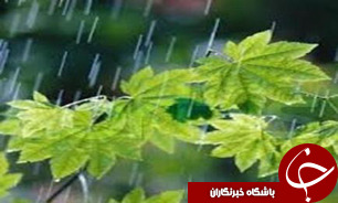 56 درصد بارش‌ها در 30 درصد پهنه کشور/ سرانه مصرف آب کمتر از 1700 مترمکعب است