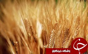تقاضای پذیرش و انتقال 5 شرکت به بورس تهران