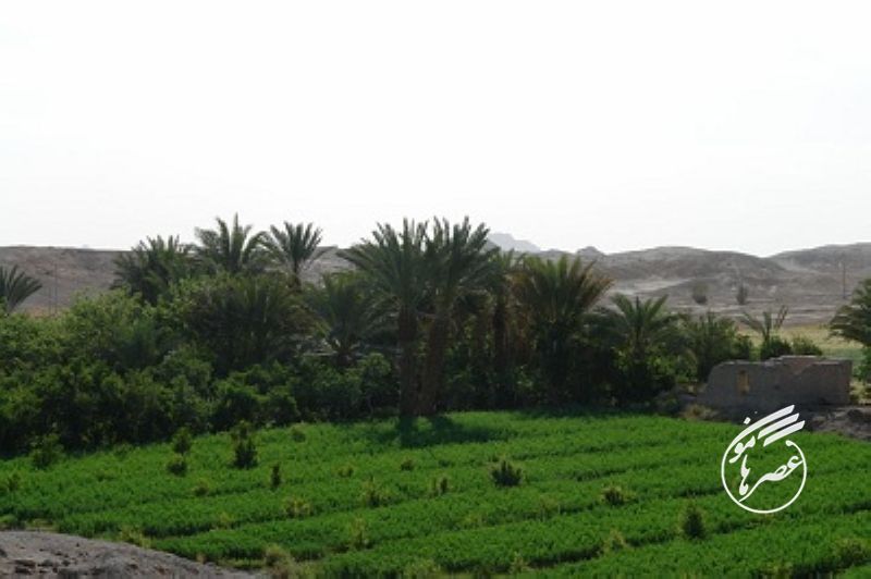 سفر به لادیز؛ جایی حوالی زادگاه رستم دستان +عکس