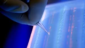 ذخیره میلیون&zwnj;ها فیلم و عکس روی DNA +&zwnj; تصاویر