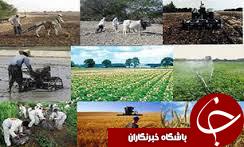 تولید سالانه بیش از ۱ میلیون تن محصولات زراعی در تاکستان