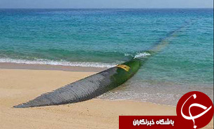 ساخت ٥ خط لوله جدید از سوی ملی مهندسی و ساختمان نفت