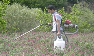 ساخت ماشین برداشت گیاه دارویی + عکس