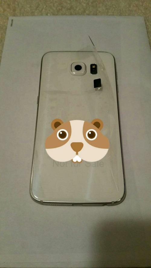 تصاویر Galaxy S6 با نمایشگر خمیده که باید دیده شوند!
