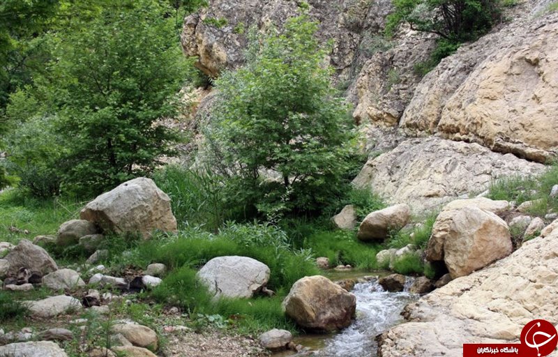 تصاویری از منطقه زیبا و شکار ممنوع هاور